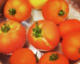 簡単☆冷やし中華トマト♪作り方2写真
