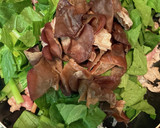 キクラゲと豚肉のオイスター炒め作り方4写真