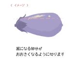 和風しみなす作り方1写真