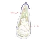 和風しみなす作り方8写真