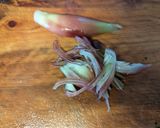 ゴーヤのさっぱり和え（夏の常備野菜）作り方3写真