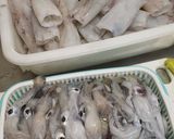 なべじの剣先イカの下処理作り方1写真