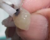 なべじの剣先イカの下処理作り方10写真