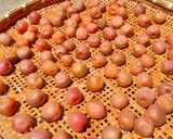 梅干し作り方11写真