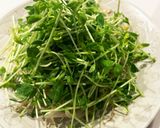 レンジで蒸ししゃぶ作り方1写真