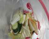 簡単♪白菜とキュウリの浅漬け作り方4写真