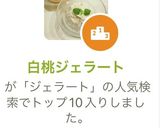 白桃ジェラート作り方9写真