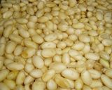 簡単！誰にでも失敗なしの手作り味噌作り方6写真