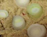 白ネギの糠漬け作り方1写真