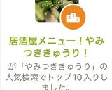 TOP2入り！肴に最高やみつききゅうり！作り方5写真
