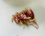 キャベツとみょうがの浅漬け作り方1写真