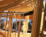 ダイエットパスタ★おからパウダー使用★作り方6写真