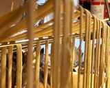 ダイエットパスタ★おからパウダー使用★作り方7写真