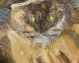 【北海道新鮮な魚からお出汁をとる】JWT作り方4写真