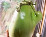 翡翠ナスの中華風揚げ浸し作り方1写真