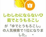 しわしわにならない♡茹でとうもろこし作り方6写真