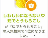 しわしわにならない♡茹でとうもろこし作り方6写真