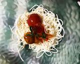 金魚トマト作り方7写真