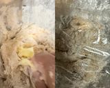 簡単！ギョニソ全粒粉ツイストパン♪作り方2写真