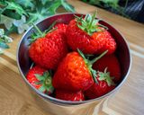 61℃ 醬油麹鶏むねのオープンサンド弁当作り方10写真
