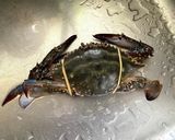ワタリガニ・カニみそ濃厚お味噌汁作り方3写真