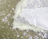 かき混ぜ不要＊煮出し冷茶＊水出し冷茶作り方4写真