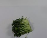 超お手軽♫ 貝割れ大根の肉巻き作り方1写真