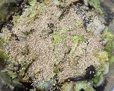 レタスとナスの一瞬で漬物作り方6写真