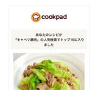 水っぽくない！時短簡単 キャベツ豚炒め作り方10写真