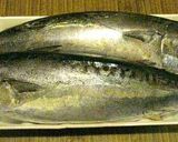 一から作る本格カツオのたたき作り方1写真