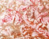 この時期にも美味しい肉豆腐♪作り方3写真