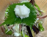 薬味たっぷり♪焼き茄子の冷やしたぬき蕎麦作り方13写真