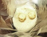 冷凍保存揚げポテト風味もどき作り方1写真