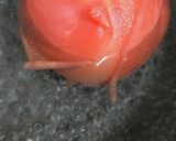 夏のトマトつゆ＊冷奴、そうめんに作り方1写真