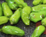 ししとうと豚ばら肉のオイスターソース炒め作り方5写真