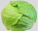 キャベツ丸ごと冷凍作り方1写真