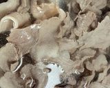 お財布に優しい☆豚こま切れの冷しゃぶ作り方3写真