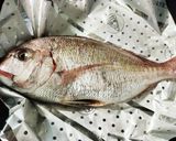 絶品な鯛めし(^O^)作り方3写真