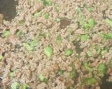 目玉焼きそぼろゴーヤーチャーハン作り方2写真