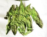 レンジで簡単!乾燥バジル作り方3写真