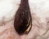 オーブントースターで焼き茄子　簡単レシピ作り方6写真