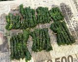 山形の庄内の味 失敗しないしそ巻き⭐︎しその大量消費にも作り方14写真