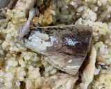 簡単　オリーブサバ缶丼作り方7写真