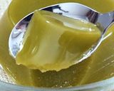 【粉末茶入り】緑茶風味の水ようかん作り方9写真