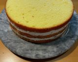バイオレットシュヴァルツヴェルダー作り方7写真