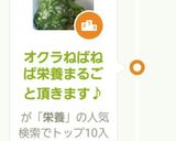 オクラねばねば栄養まるごと頂きます♪作り方8写真