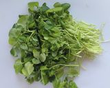 クレソンの塩昆布ナムル。作り方2写真