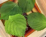 簡単　ナス大葉の汁漬け作り方9写真