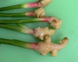 葉しょうが作り方1写真