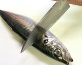 旬のアジは握り寿司!作り方2写真